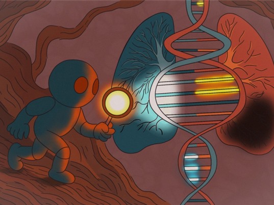  AI giúp xác định bộ gene gây ra các bệnh phức tạp